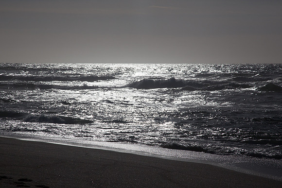 20130309ptreyes-0530