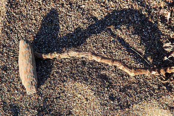 20130309ptreyes-0588