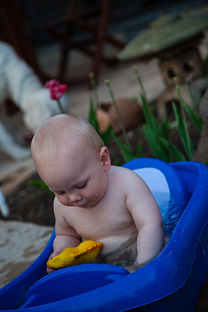 20160401_kaiden-4970