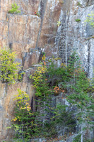 20251012_Maine-0589