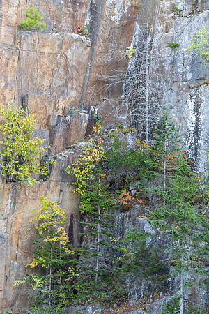 20251012_Maine-0589
