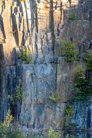 20251012_Maine-0586