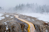 20160911_yellowstone-1452