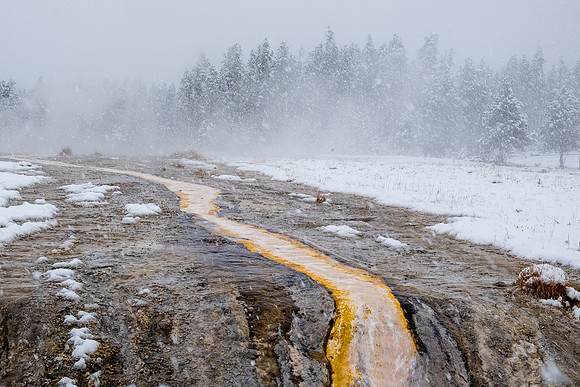20160911_yellowstone-1452