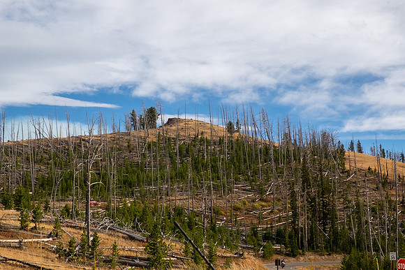 20160911_yellowstone-1391