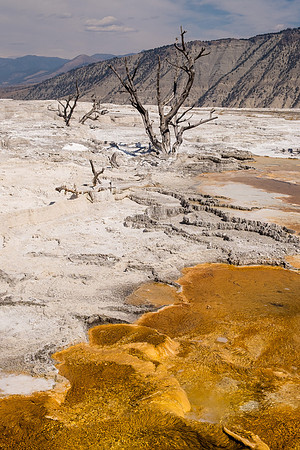 20160911_yellowstone-1214