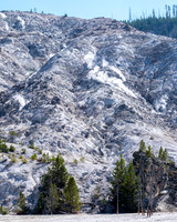 20160911_yellowstone-1137