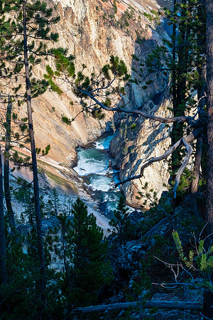 20160911_yellowstone-1082