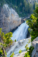 20160911_yellowstone-1064
