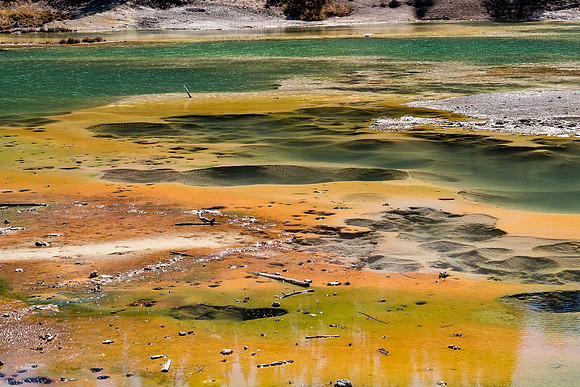 20160911_yellowstone-0980
