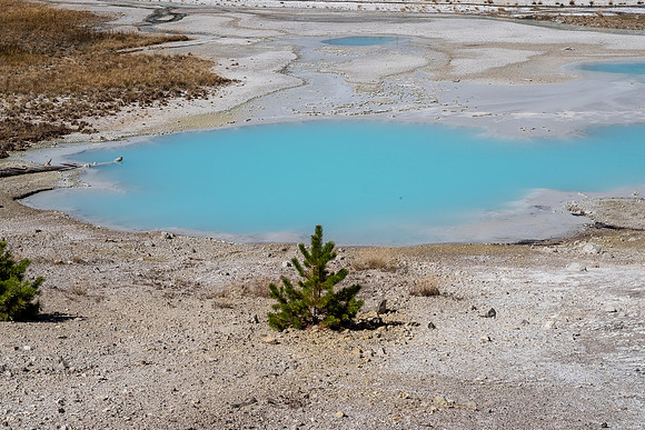 20160911_yellowstone-0959