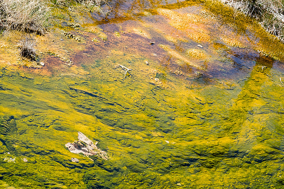 20160911_yellowstone-0950