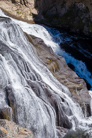 20160911_yellowstone-0937
