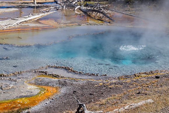 20160911_yellowstone-0857