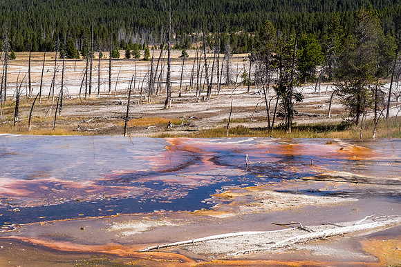 20160911_yellowstone-0842