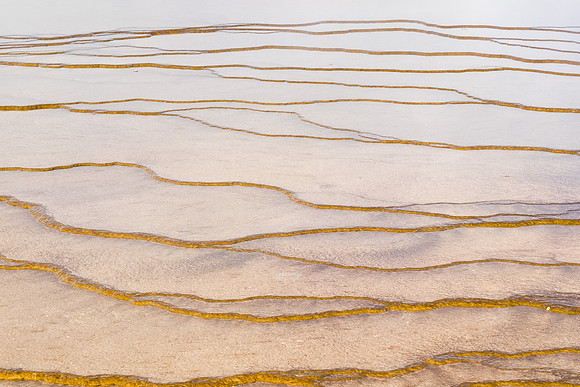 20160911_yellowstone-0706