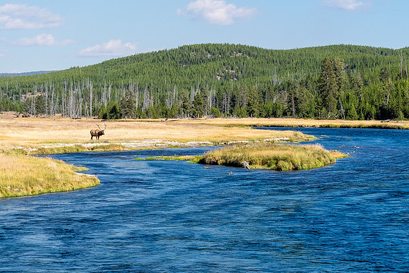 20160911_yellowstone-0553