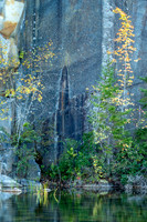 20251012_Maine-0576