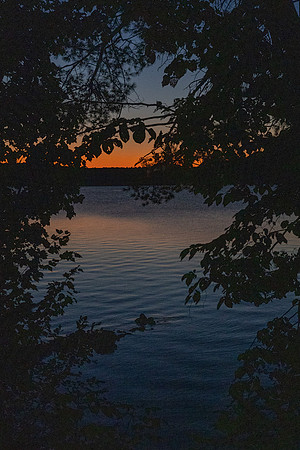 20250813_Maine-9717