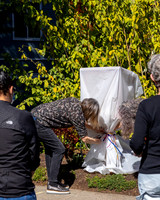 20210306_littleartgallery-1003