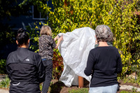 20210306_littleartgallery-1010
