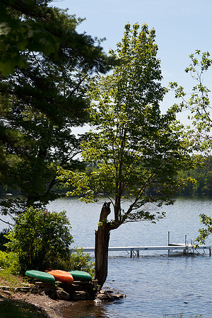 20120527_fishladder_1003
