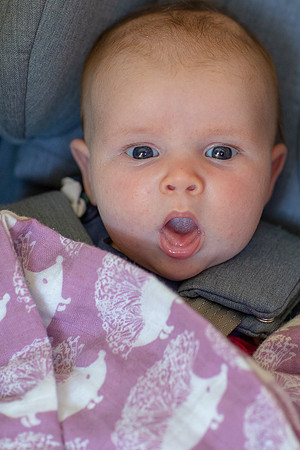 20180510_kaiden_caeleigh-3596