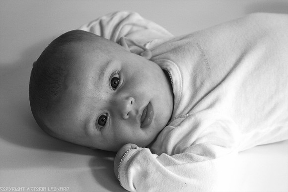 IMG_3603 copy