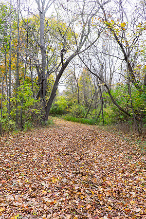 20141023_wingspread-5298
