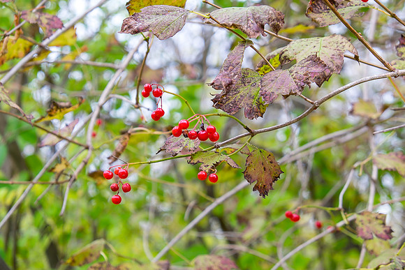 20141023_wingspread-5312
