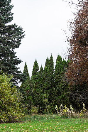 20141023_wingspread-5336
