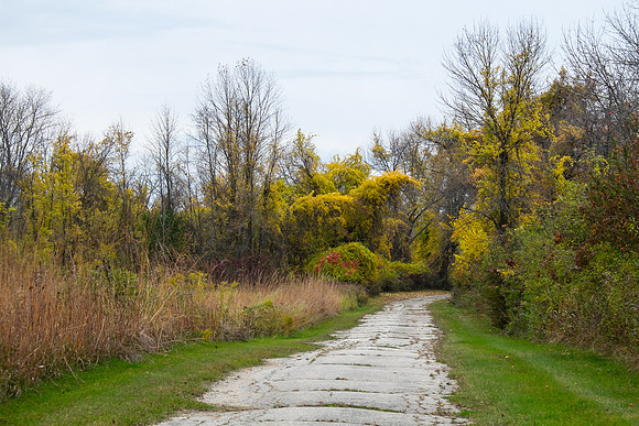 20141023_wingspread-5301