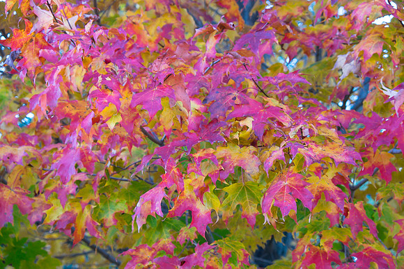 20141023_wingspread-5291