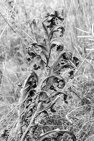20141023_wingspread-5304