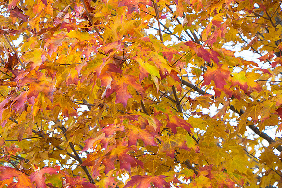 20141023_wingspread-5292