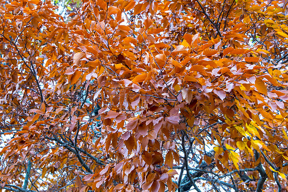 20141023_wingspread-5334