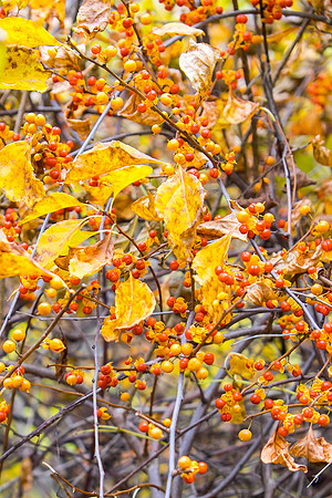 20141023_wingspread-5316