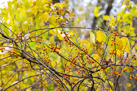 20141023_wingspread-5313