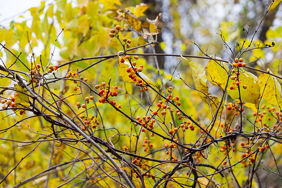 20141023_wingspread-5315