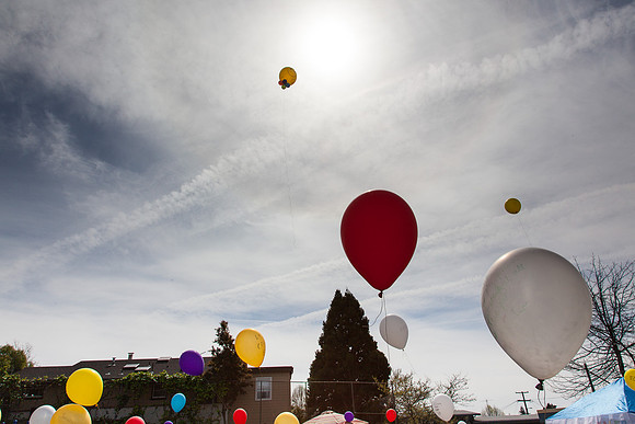20150321_caleb-1471