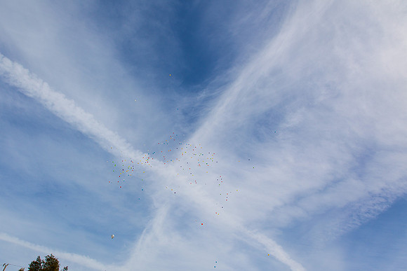 20150321_caleb-1533