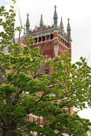 20140518_emmagraduation_F-2543