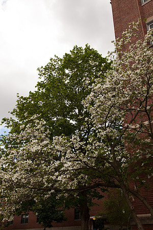 20140518_emmagraduation-9592