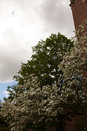 20140518_emmagraduation-9591