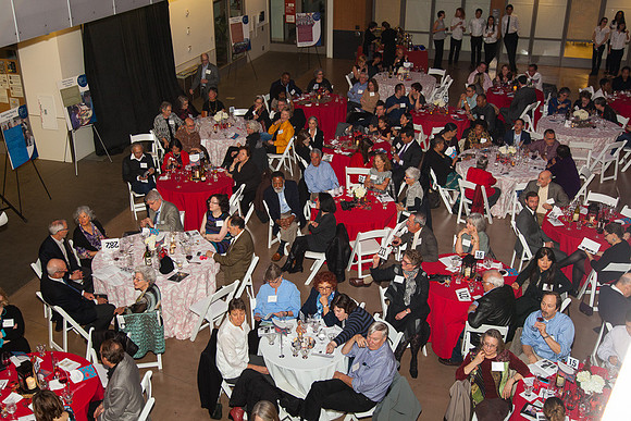 20150228_lifelong_crab-0490
