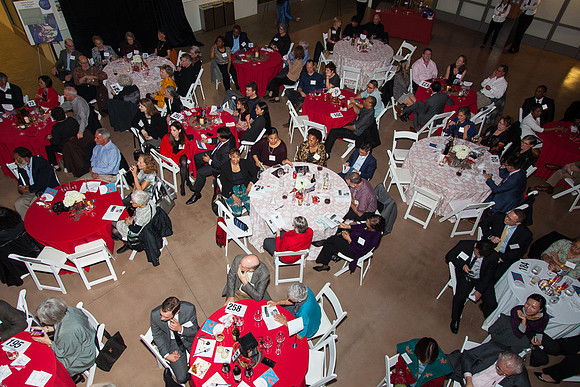 20150228_lifelong_crab-0483
