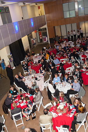 20150228_lifelong_crab-0487