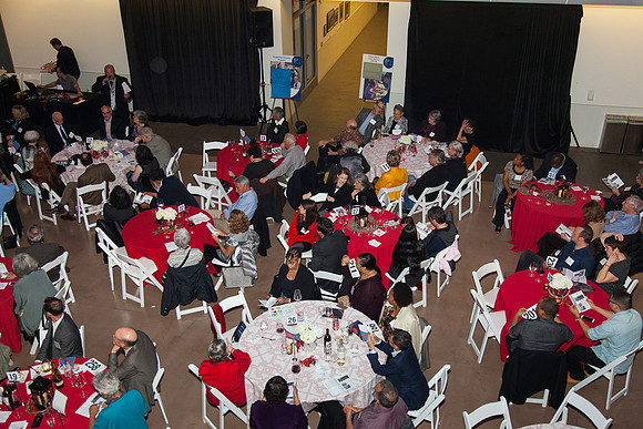 20150228_lifelong_crab-0474