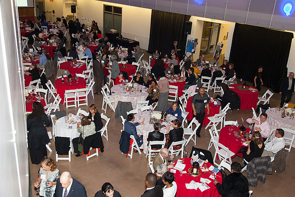 20150228_lifelong_crab-0381