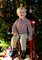 20171227_family_pictures_godfrey-0383